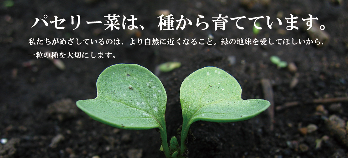 会社概要メイン画像