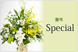 スペシャルイメージ画像