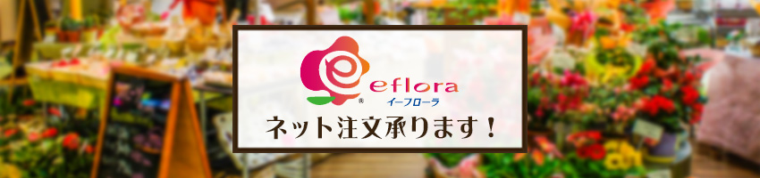 「Net Shop」イーフローラのバナー画像