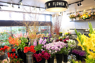 八戸本店 4season store店舗画像2