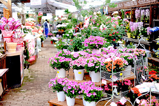八戸本店 4season store店舗画像3