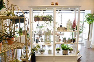 八戸本店 4season store店舗画像4