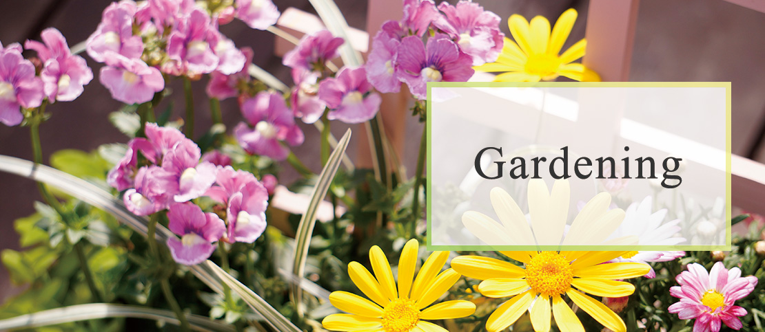 gardening画像