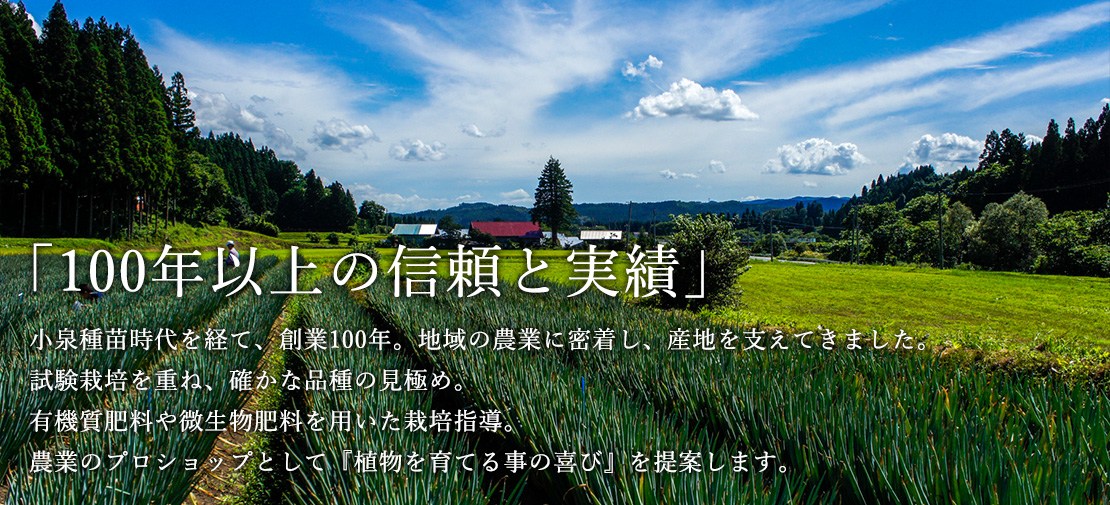 『100年以上の信頼と実績』小泉種苗時代を経て、創業100年。地域の農業に密着し、産地を支えてきました。試験栽培を重ね、確かな品種の見極め。有機質肥料や微生物肥料を用いた栽培指導。農業のプロショップとして『植物を育てる事の喜び』を提案します。